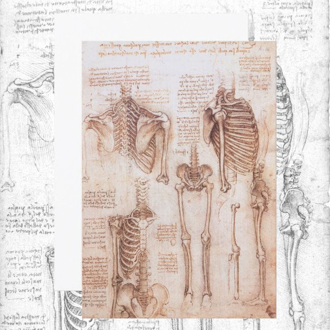 Anatomia humana Ossos do Esqueleto de Leonardo da  (Criador carregado)