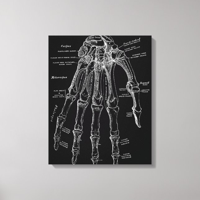 Anatomia manual Grande Muro de Canvas Art 36 x 48" (Frente)