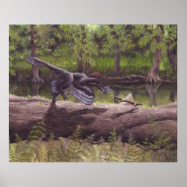 Anchiornis Impressão