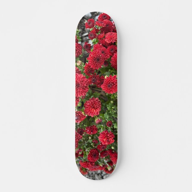andar de skate (Frente)