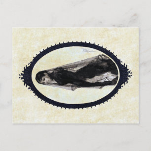 Anders Zorn, O Cartão Postal Da Viúva