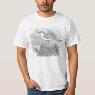 Andorinha-do-mar do baixo custo em uma camisa do