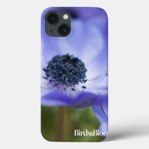 Anemone azul