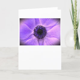 Anemone, Cartão