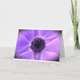 Anemone, Cartão