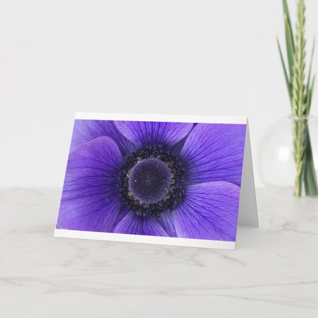 Anemone, cartão (Frente)