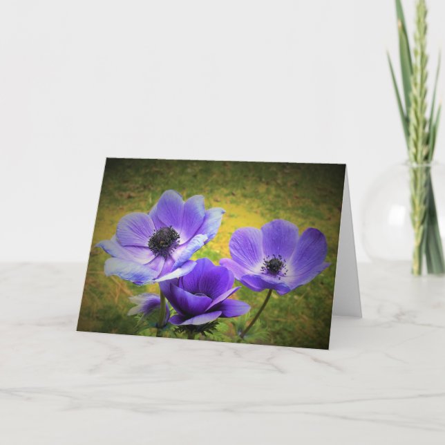 Anemone, cartão (Frente)