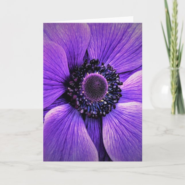 Anemone, cartão (Frente)