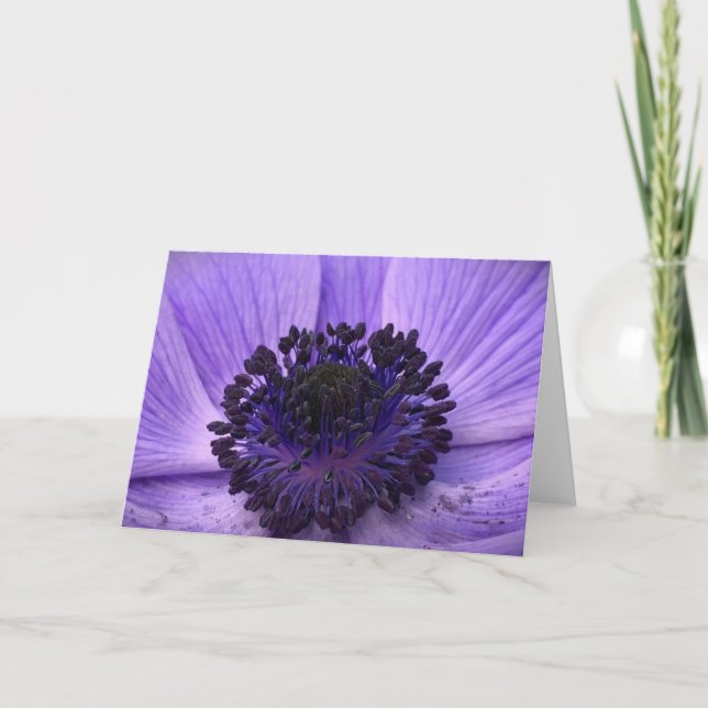 Anemone, cartão (Frente)