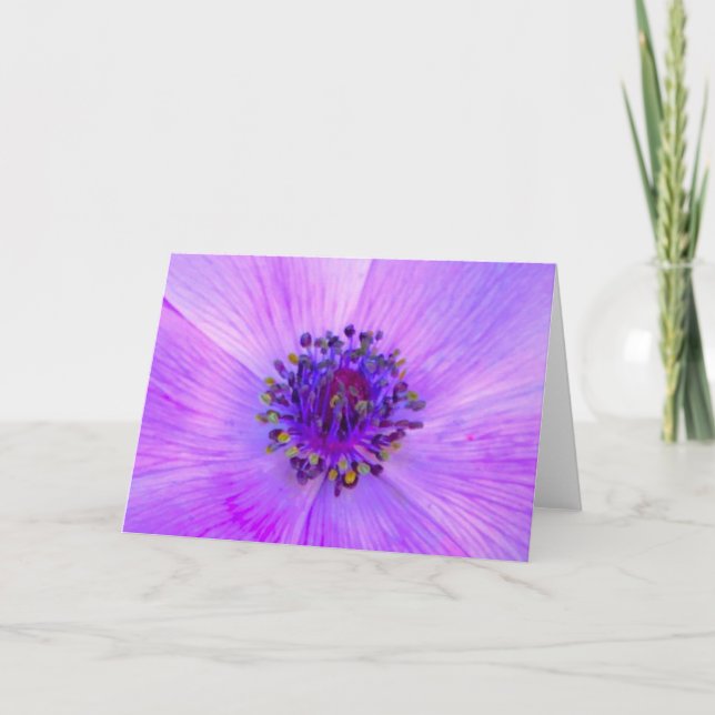 Anemone, cartão (Frente)