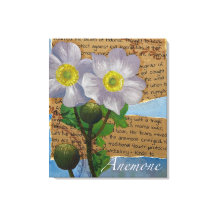 Anemone Stretched Canvas Print