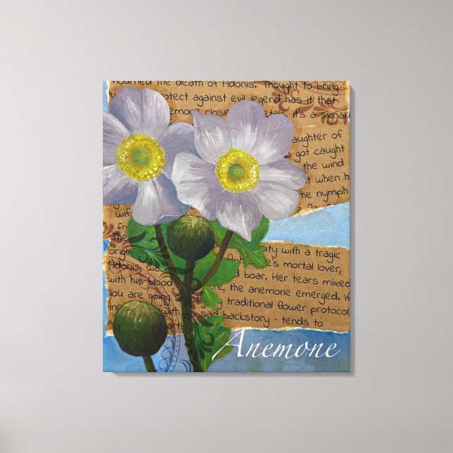 Anemone Stretched Canvas Print (Frente)