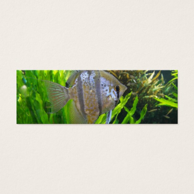 Angel Fish Bookmark (Frente)