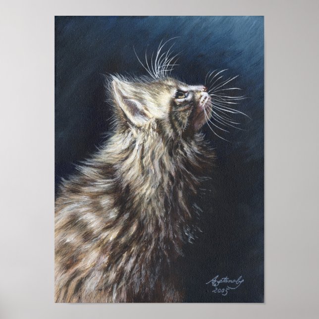 Angel Light Maine Coon Cat poster (Frente)