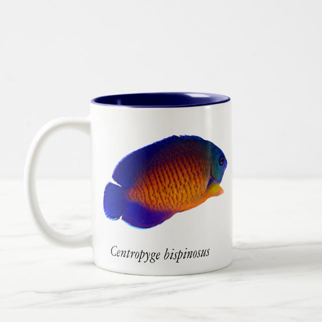Angelfish coral da beleza - caneca do bispinosus (Esquerda)