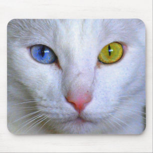 Angora turco Mousepad