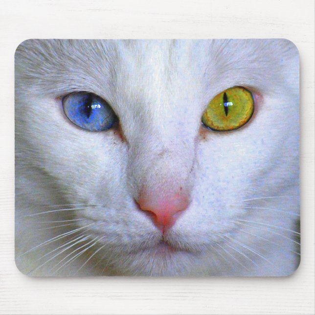 Angora turco Mousepad (Frente)