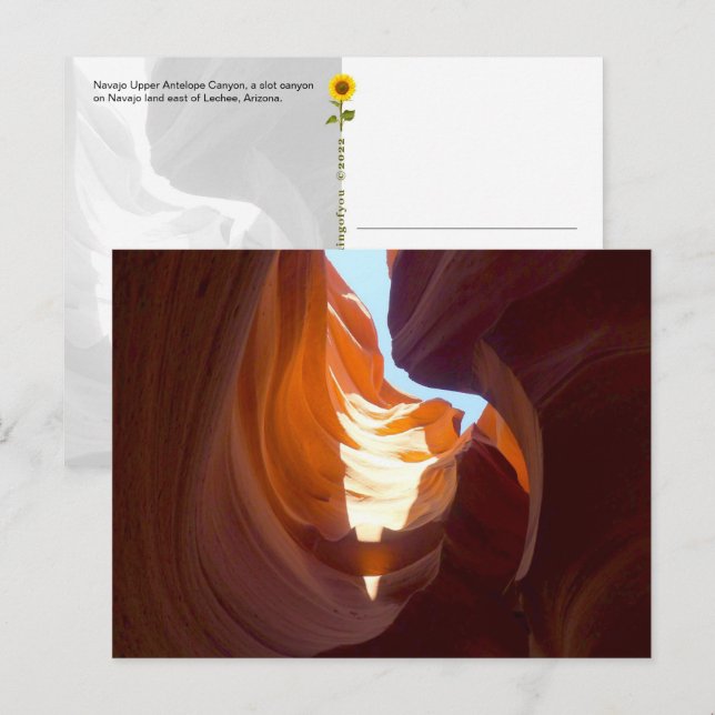 Aníloga superior do Navajo (1) - cartão postal (Frente/Verso)