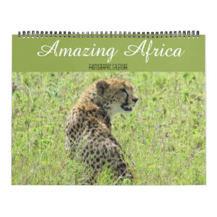 animais africanos calendário grande 2027