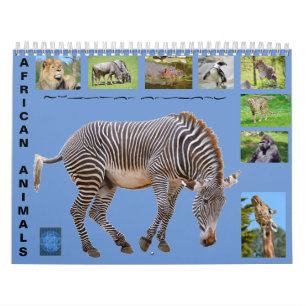 Animais africanos com calendário de 12 meses