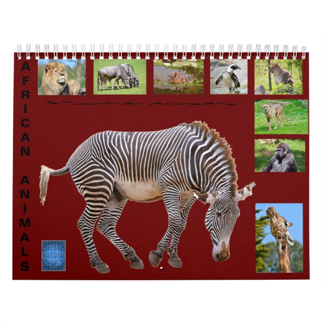 Animais africanos com calendário de 12 meses (Capa)