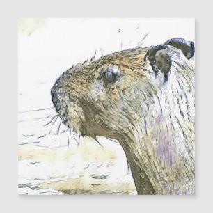 animais alterados fascinantes - Capybara