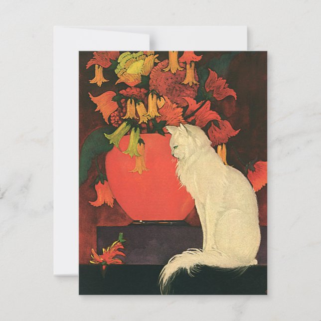 Animais Antigos, Gato Branco Elegante, Flores de O (Frente)