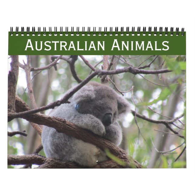 animais australianos calendário 2027 (Capa)