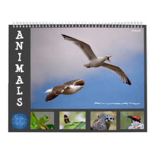 Animais com calendário de 12 meses