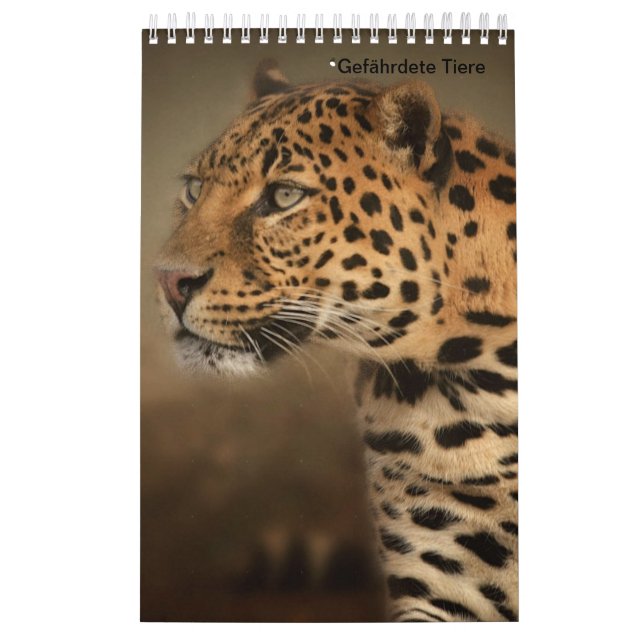 Animais de caça como calendários (Capa)