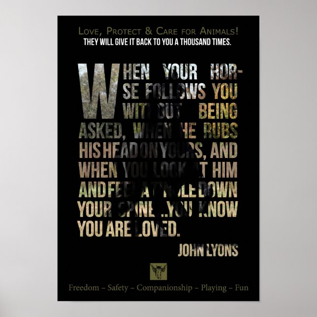 Animais de proteção - Poster (Frente)