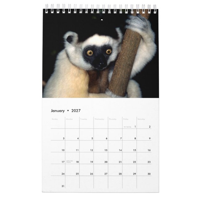 ANIMAIS do calendário 2015 1-Pg. de África (Jan 2027)