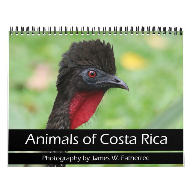 Animais do Calendário da Costa Rica (Capa)