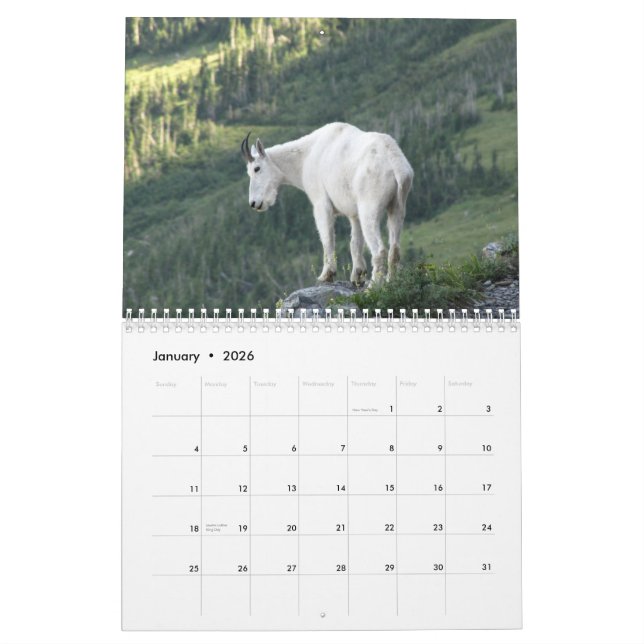 Animais do calendário do parque nacional 2015 de (Jan 2026)