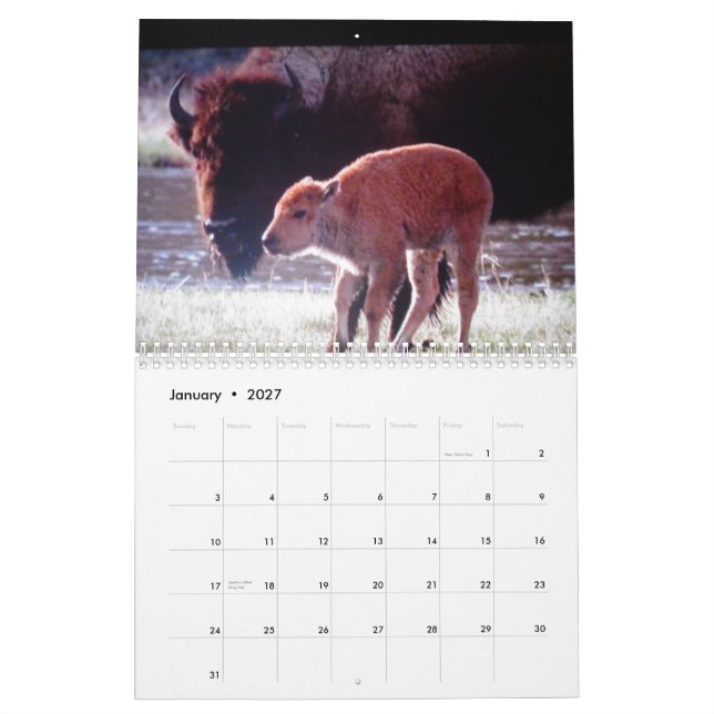 Animais do calendário impresso costume de (Jan 2027)