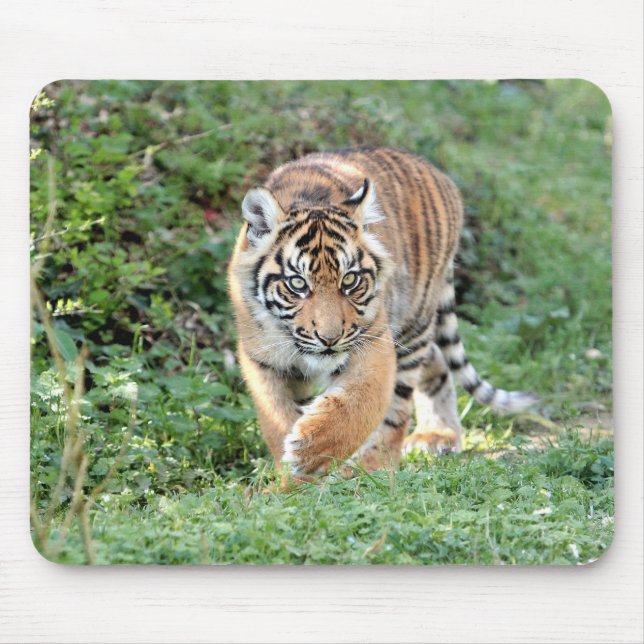 animais do tigre fotográfico. mouse pad (Frente)
