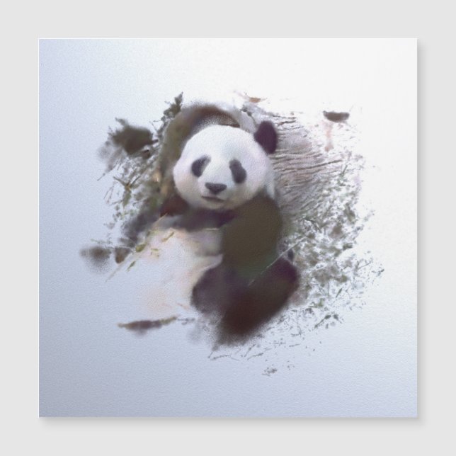 Animais e Arte (Frente)