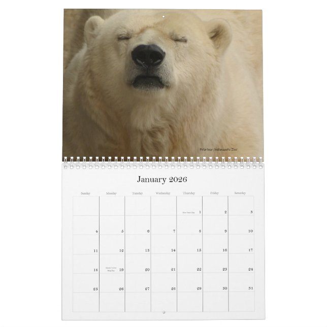 Animais em uma cidade populoso - calendário (Jan 2026)