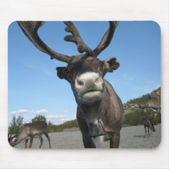 Animais Mousepad 63 (Frente)