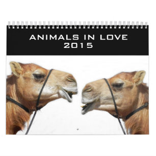 Animais no calendário 2015 do amor