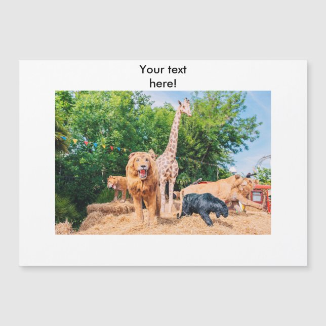 Animais recheados (Frente)