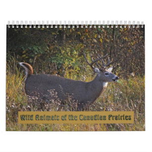 Animais selvagens do calendário canadense das