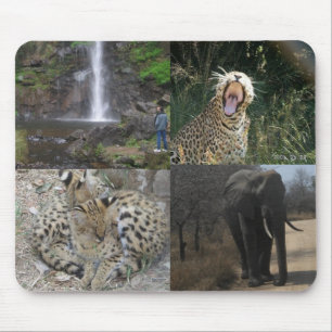 Animais selvagens Mousepad de África