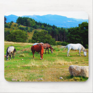 Animais selvagens Mousepads dos cavalos