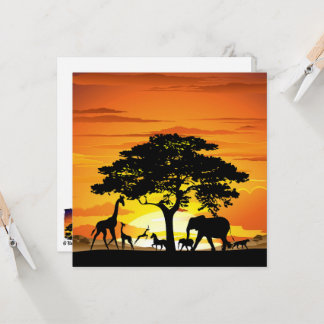 Animais Selvagens no Sunset da savana africana