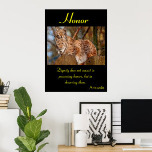 Animal 40 dos posters da honra