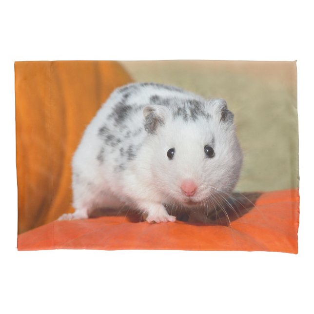 Animal de estimação engraçado manchado do hamster (Frente)