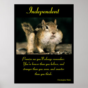 Animal independente 24 dos posters