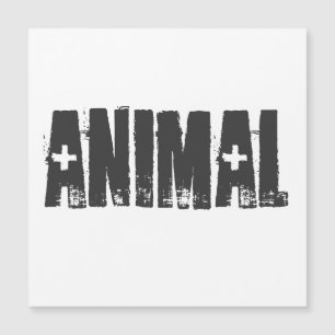 Animal - Malhação de criação de aves