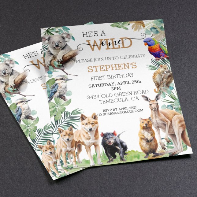 Animal Selvagem Australiano Um Canguru de Aniversá (Criador carregado)